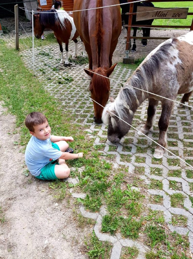 Škrati, Bučke in Sovice na Rakitni – 2. dan