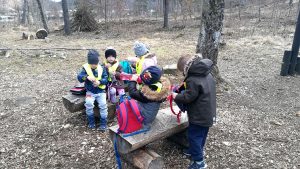 IMG_20190308_095812