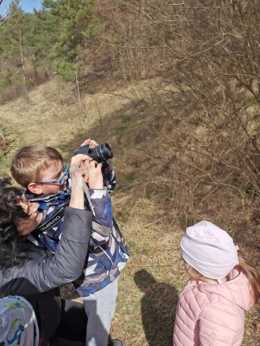 POMLAD SKOZI OBJEKTIV (od pomladi do poletja)